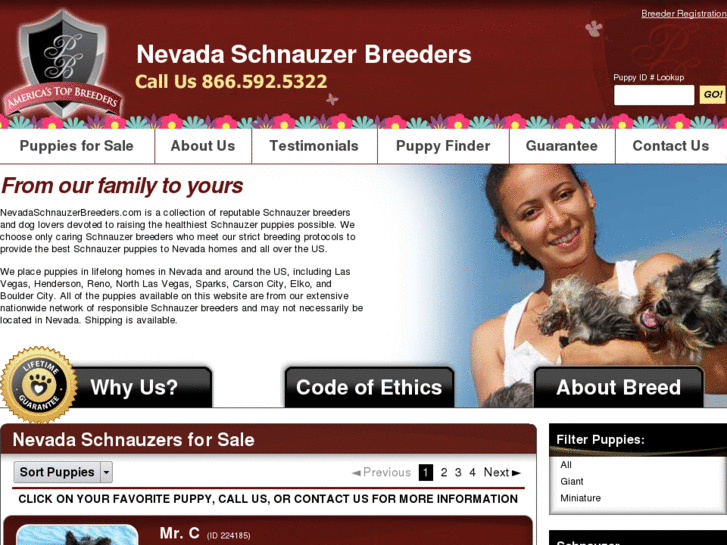 www.nevadaschnauzerbreeders.com