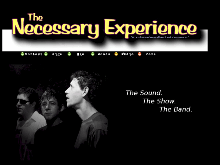 www.necessary-experience.com
