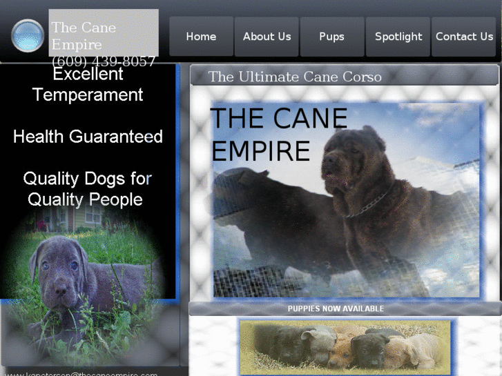 www.thecaneempire.com