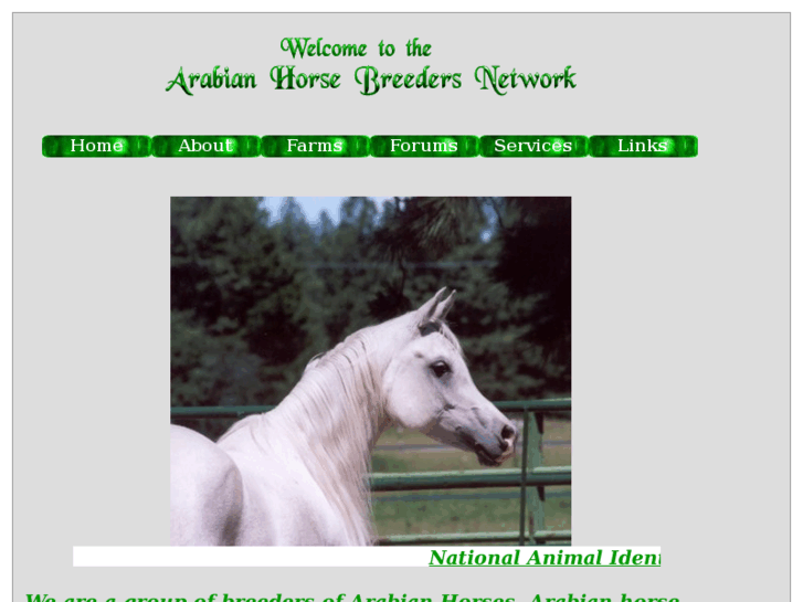 www.arabian-horsebreeders.com