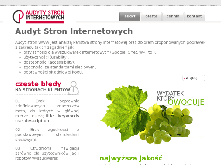 www.audyt-stron-www.info