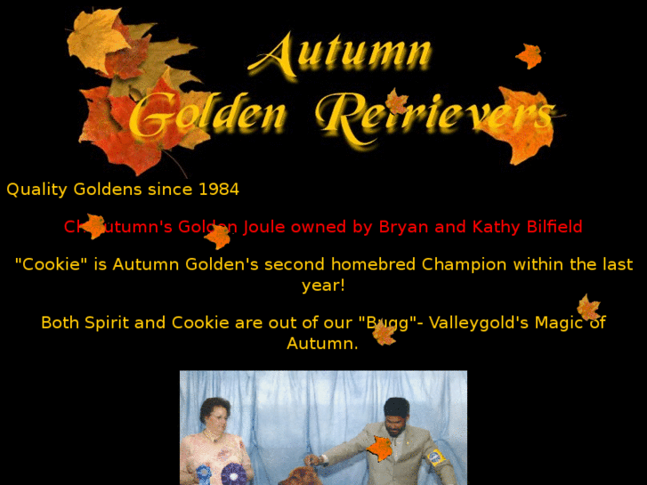 www.autumngoldens.com