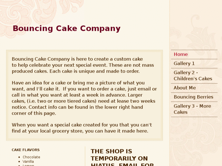 www.bouncingcakecompany.com