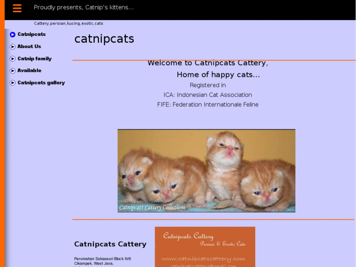 www.catnipcatscattery.com