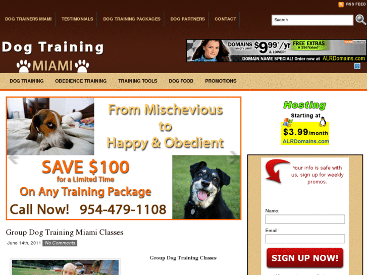 www.dogtraining-miami.com