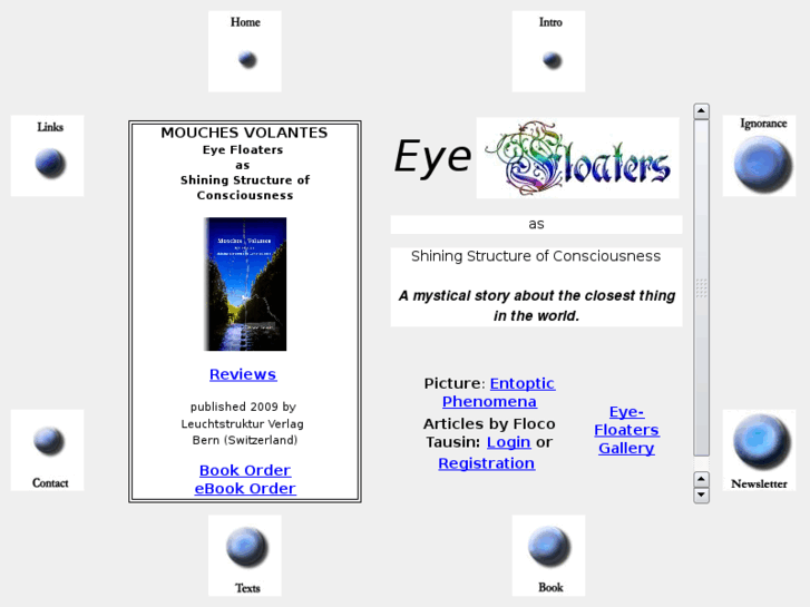 www.eye-floaters.info