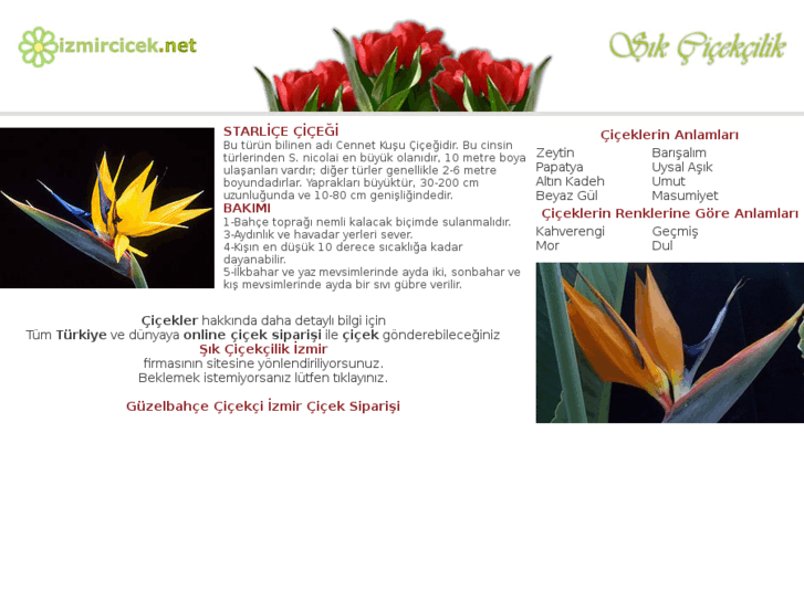 www.guzelbahcecicek.net