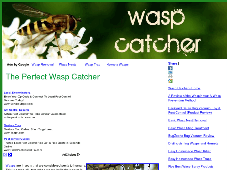 www.waspcatcher.org