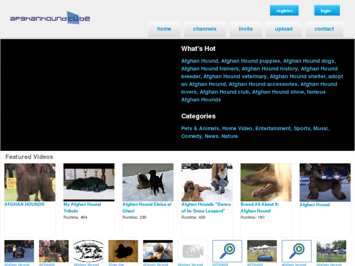 www.afghanhoundtube.com