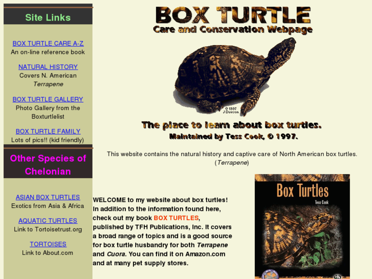 www.boxturtlesite.info