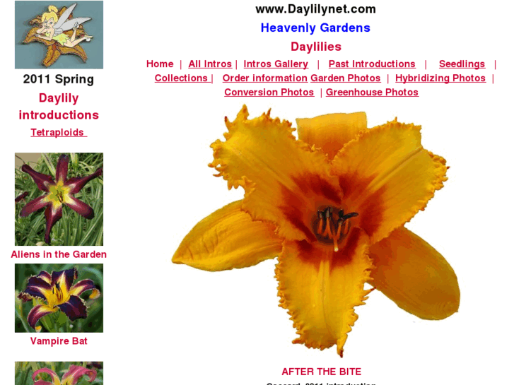 www.daylilynet.com