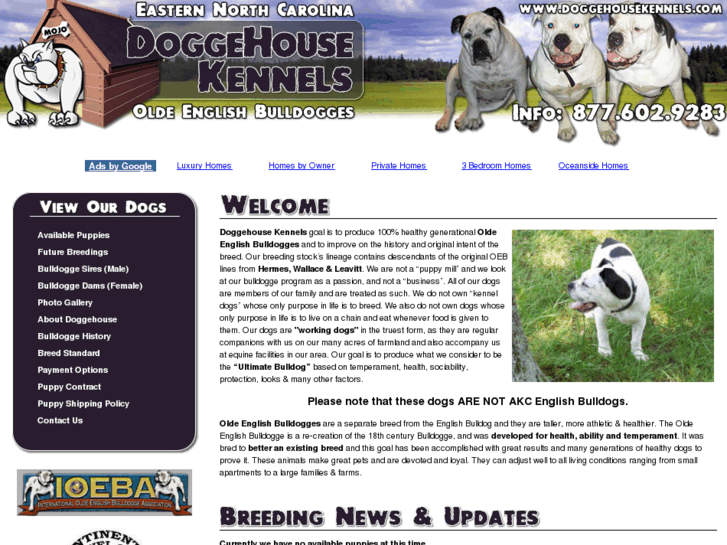 www.doggehouse.com