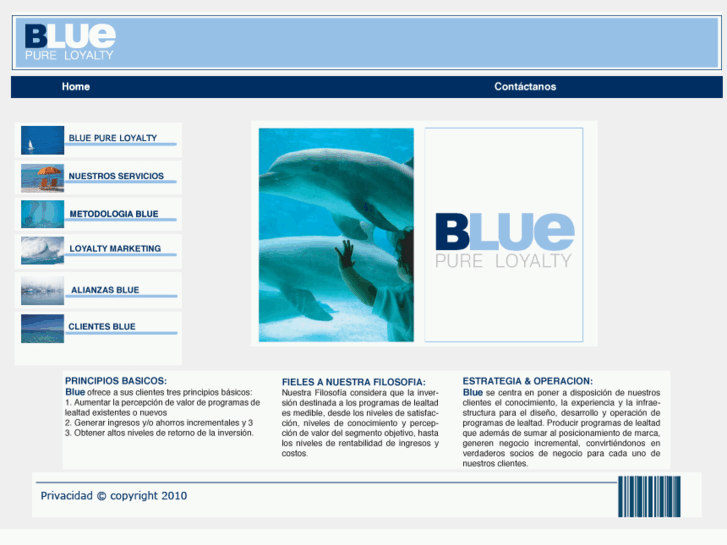 www.grupoblue.com