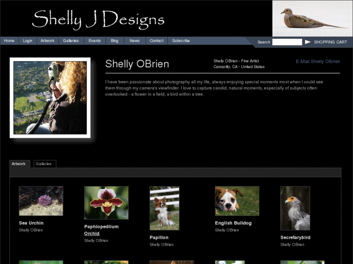 www.shellyjdesigns.com