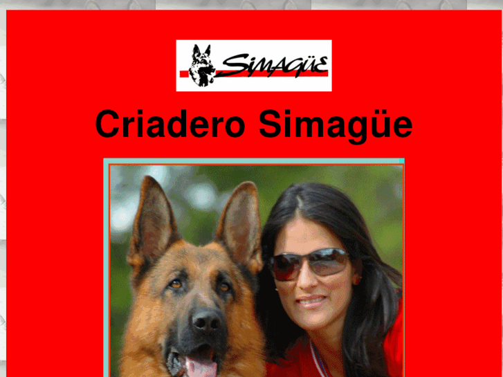 www.simague.com