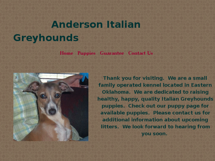 www.andersonitaliangreyhounds.com