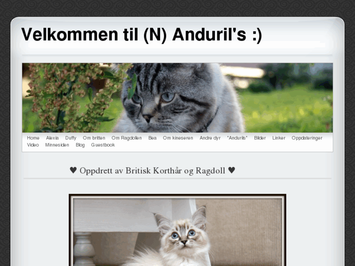 www.andurils.com