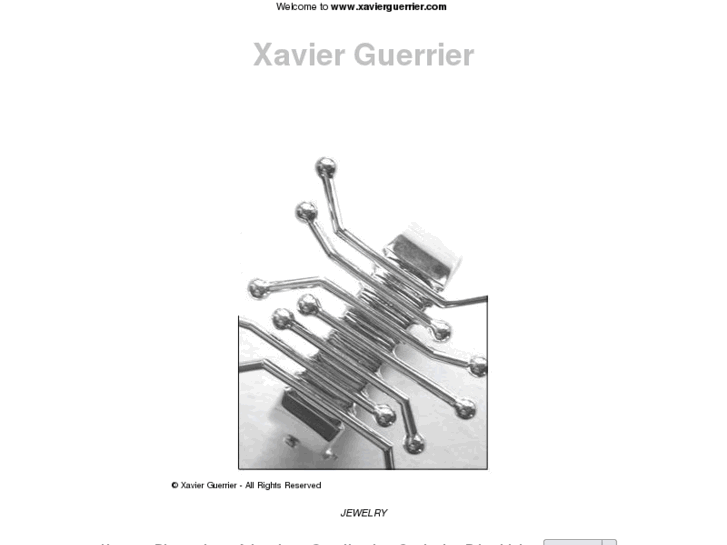 www.xavierguerrier.com