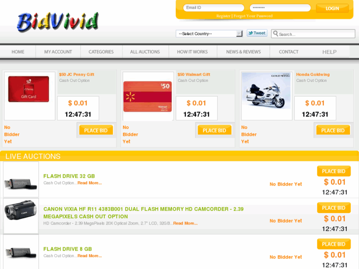 www.bidvivid.com