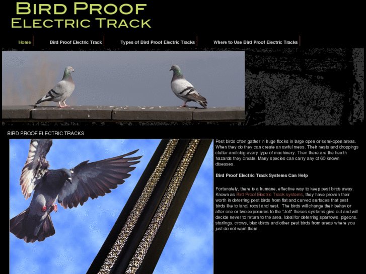 www.birdprooftrack.com