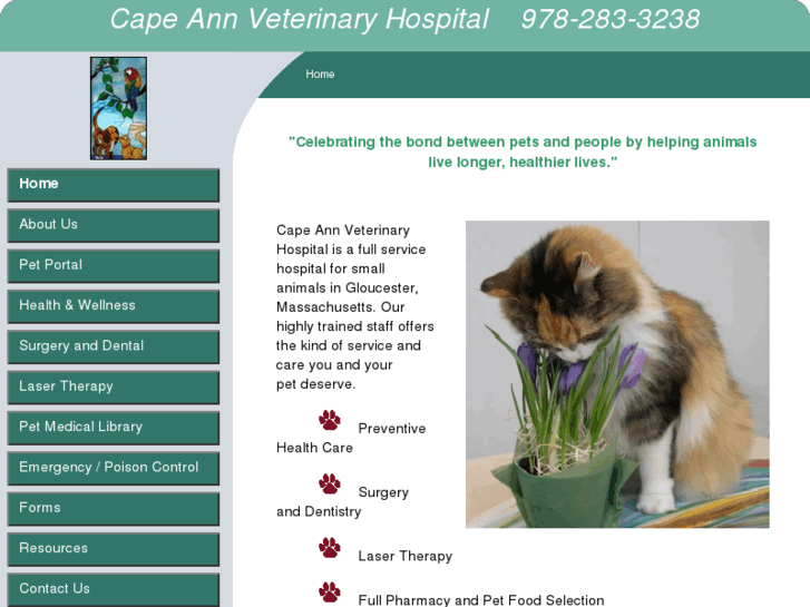 www.capeannvet.com