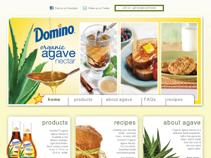 www.dominoagave.com