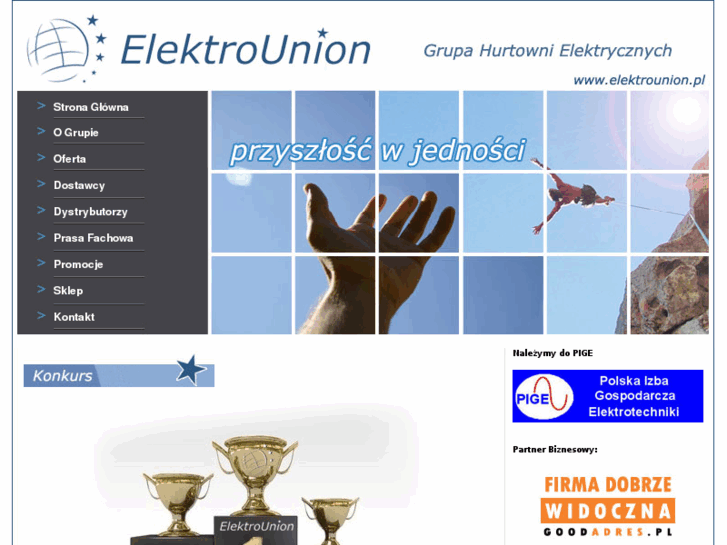 www.elektrounion.pl