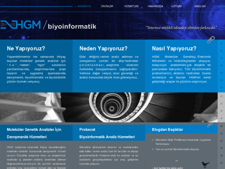 www.hgmbiyoinformatik.com.tr