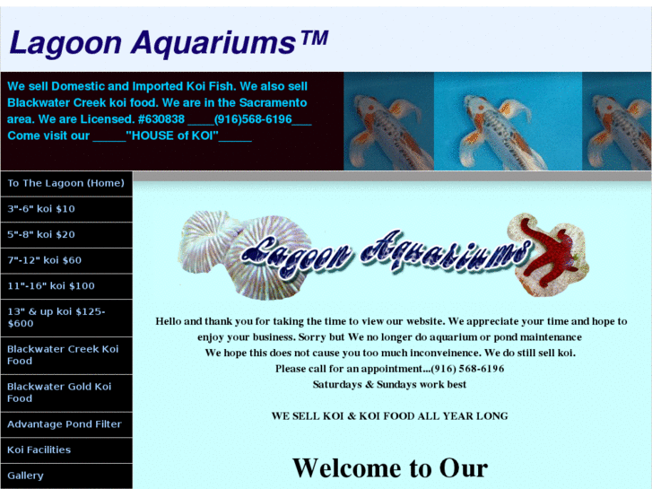 www.lagoonaquariums.com