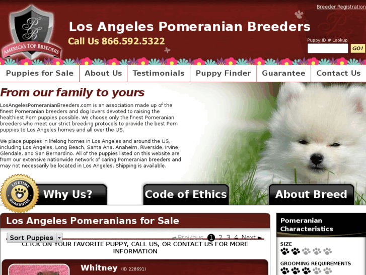 www.losangelespomeranianbreeders.com