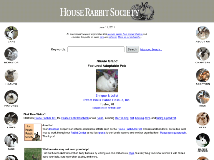 www.rabbit.org