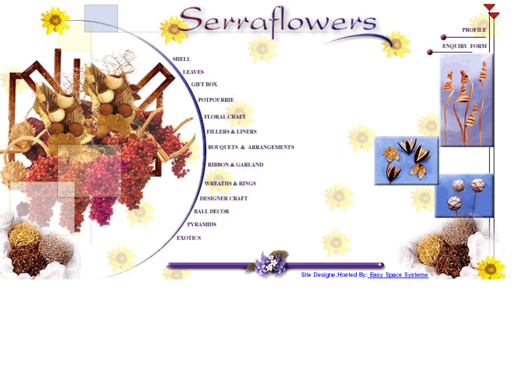 www.serraflowers.com