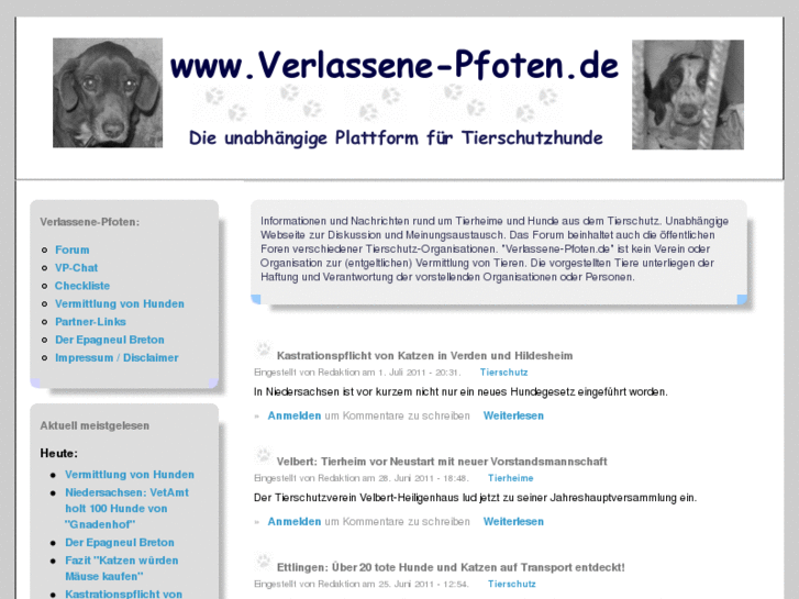 www.verlassene-pfoten.de