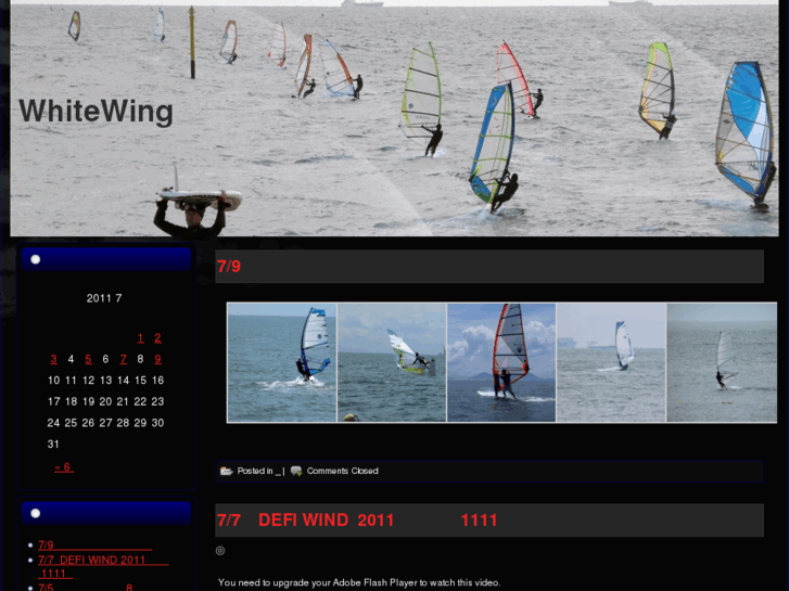 www.whitewing1996.com