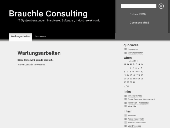 www.brauchle-consulting.com