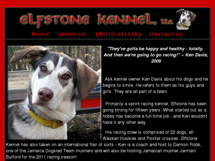 www.elfstonekennel.com