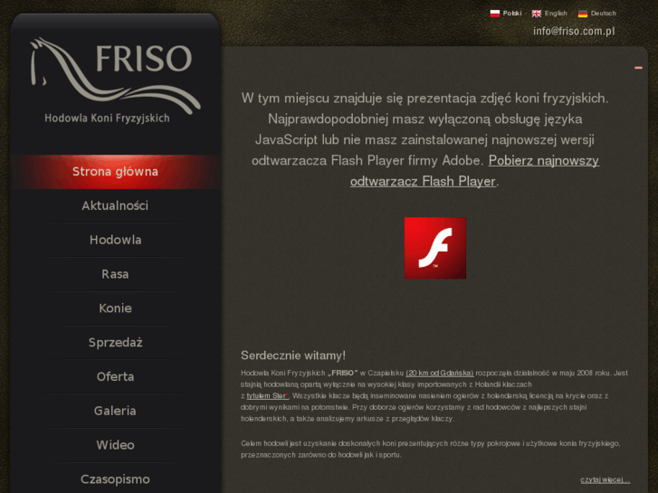 www.friso.com.pl