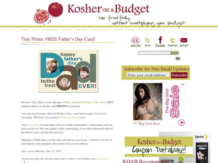 www.kosheronabudget.com