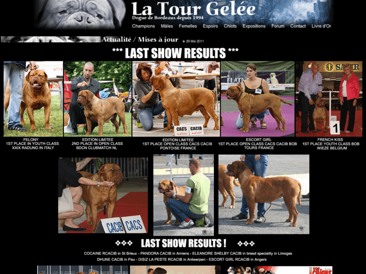 www.la-tour-gelee.com