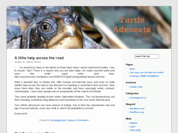 www.turtleadvocate.com