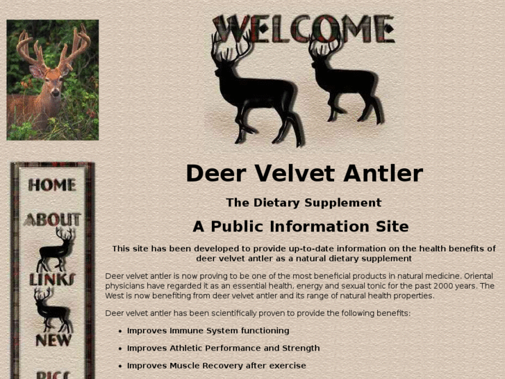 www.deervelvetinformation.org