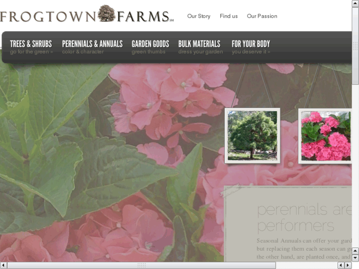 www.frogtownfarms.com