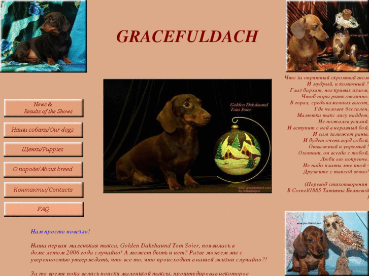 www.gracefuldach.com