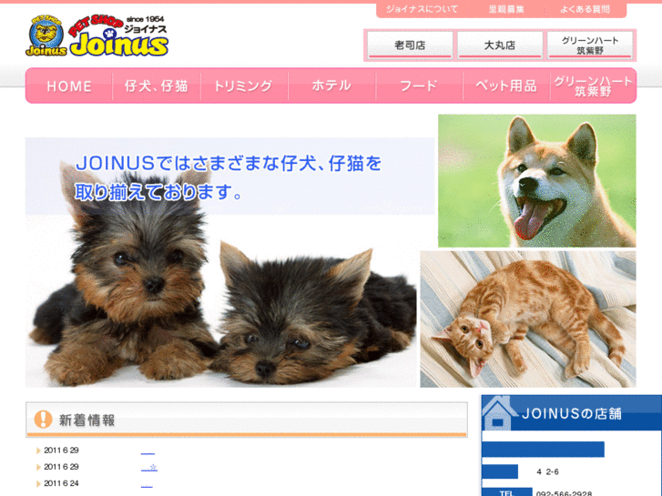 www.joint-us.jp