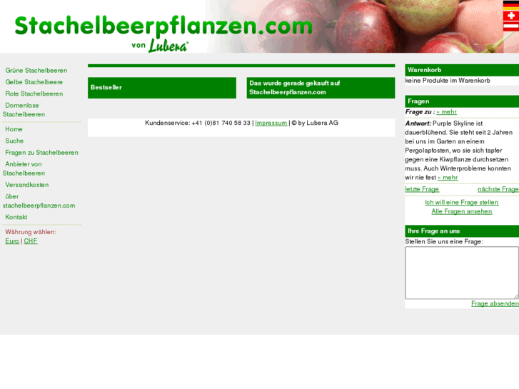 www.stachelbeerpflanzen.com