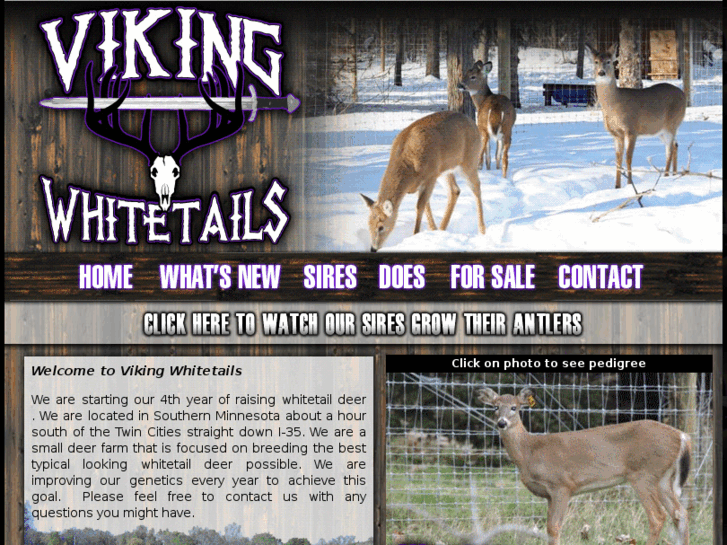 www.vikingwhitetails.com