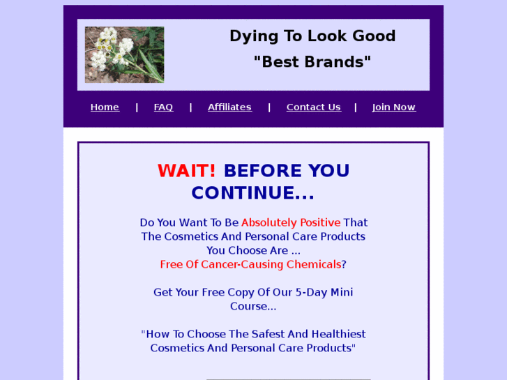 www.dyingtolookgoodbestbrands.com