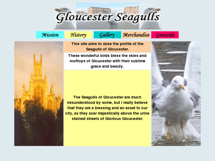 www.gloucester-seagulls.org