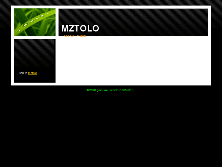 www.mztolo.com