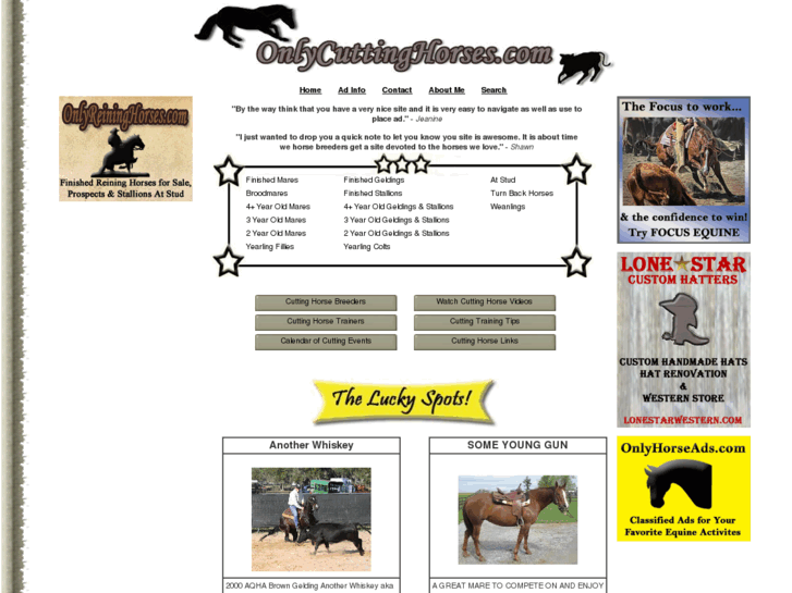 www.onlycuttinghorses.com